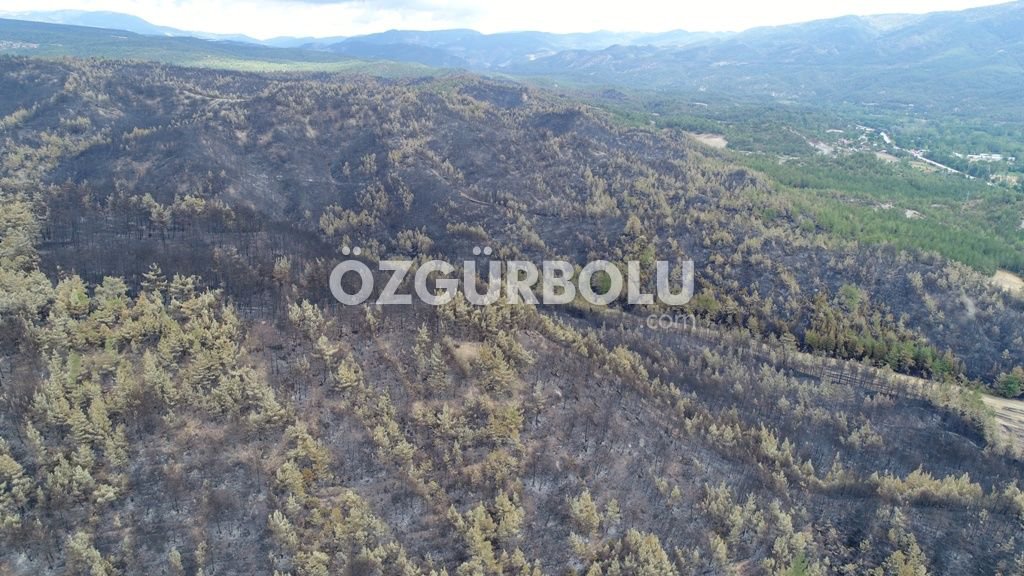 FELAKET HAVADAN GÖRÜNTÜLENDİ