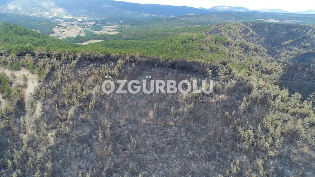 FELAKET HAVADAN GÖRÜNTÜLENDİ