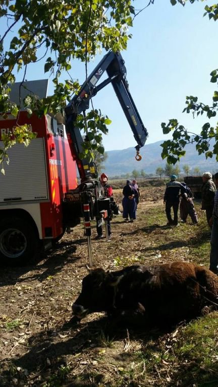 HENDEĞE DÜŞEN İNEĞİ İTFAİYE KURTARDI