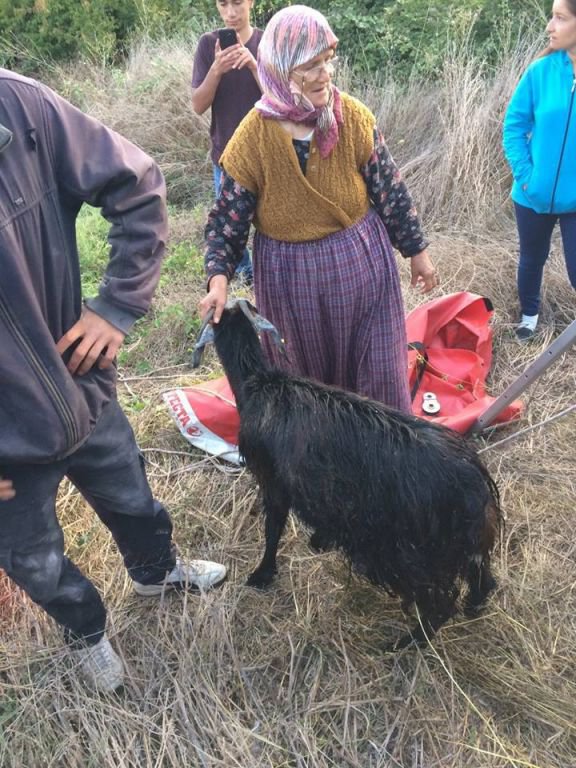 İNATÇI KEÇİ 5 METRELİK KUYUYA DÜŞTÜ
