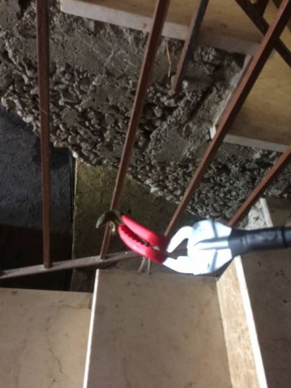 İTFAİYEDEN KERTENKELE OPERASYONU