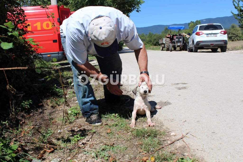 İTFAİYENİN YAVRU KÖPEK SEFERBERLİĞİ