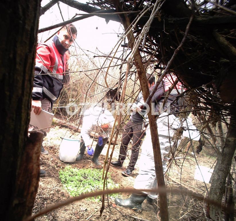 JANDARMADAN JET UYUŞTURUCU BASKINI