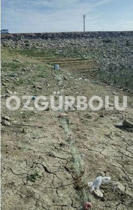 KAÇAK AVLANAN BALIKÇILAR YAKALANDI