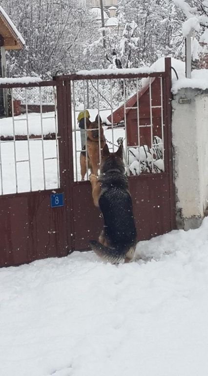 KENT MERKEZİ BEMBEYAZ OLDU