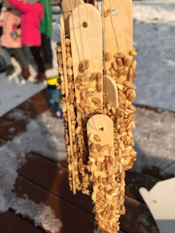 ÖĞRENCİLER VE ÖĞRETMENLER KUŞLARA UMUT OLDU