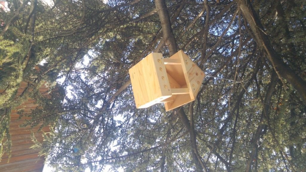 ÖĞRENCİLER VE ÖĞRETMENLER KUŞLARA UMUT OLDU