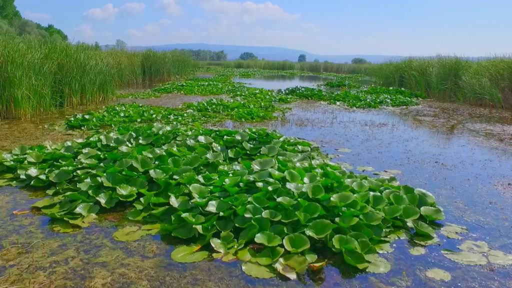VİDEO HABER - İŞTE BOLU'NUN YAZ FİLMİ