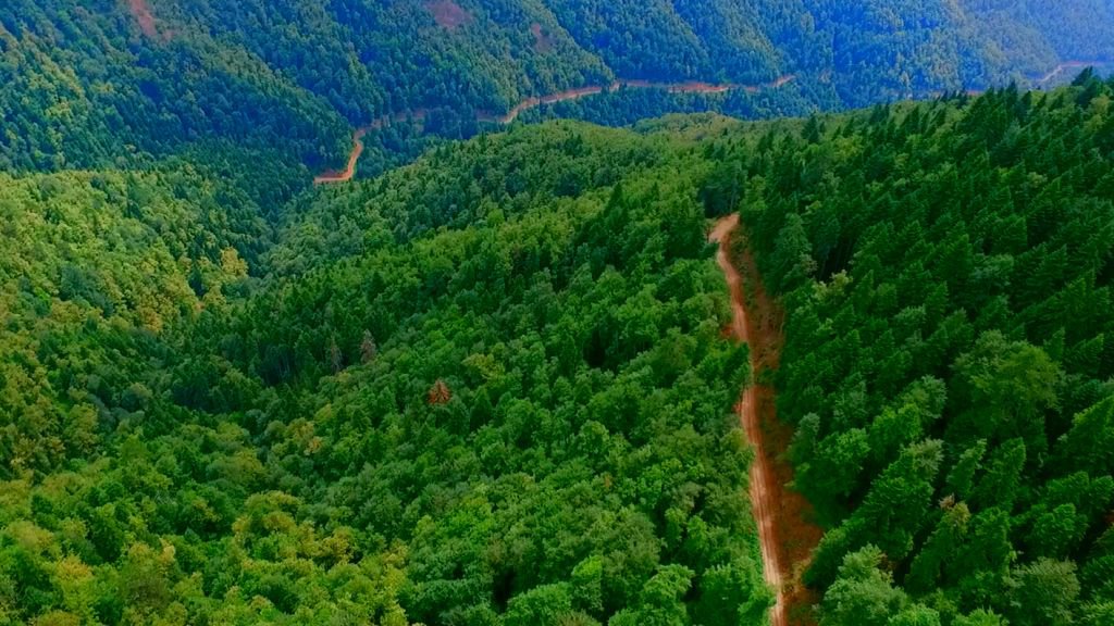 VİDEO HABER - İŞTE BOLU'NUN YAZ FİLMİ