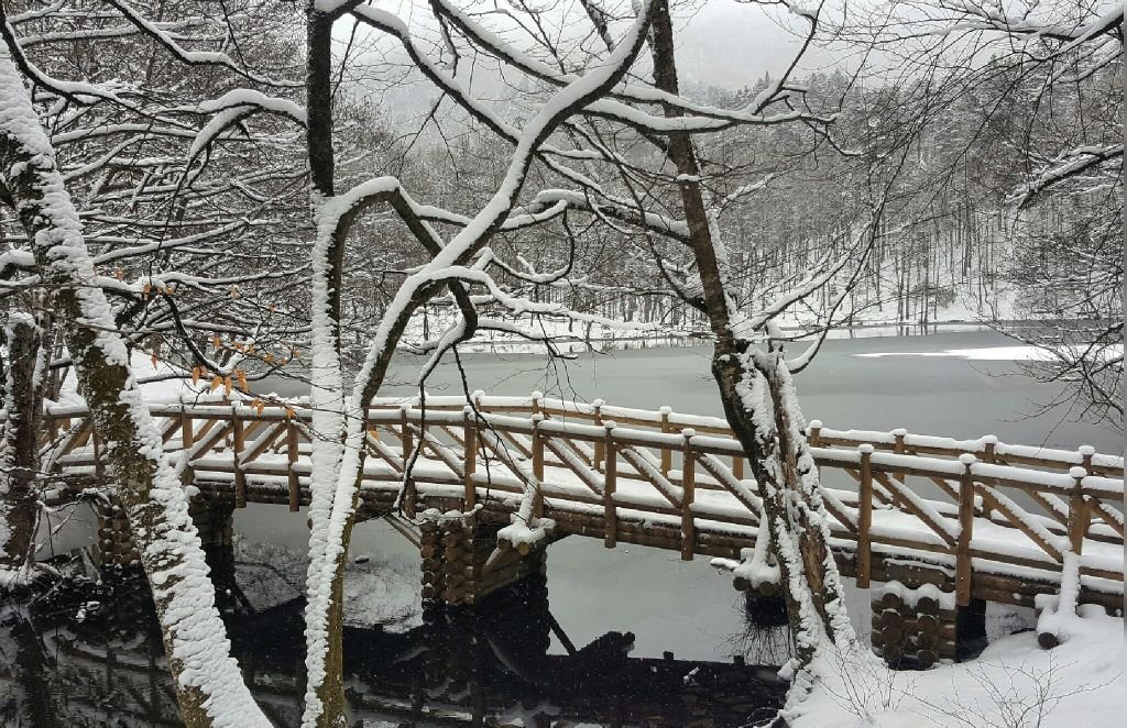 VİDEO HABER - İŞTE MUHTEŞEM BOLU'DA KIŞ FİLMİ