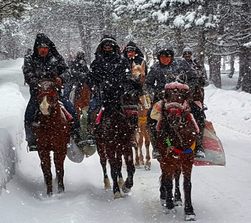 VİDEO HABER - İŞTE MUHTEŞEM BOLU'DA KIŞ FİLMİ