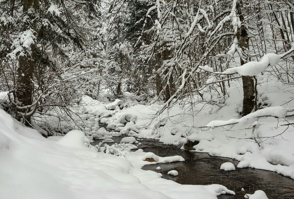 VİDEO HABER - İŞTE MUHTEŞEM BOLU'DA KIŞ FİLMİ