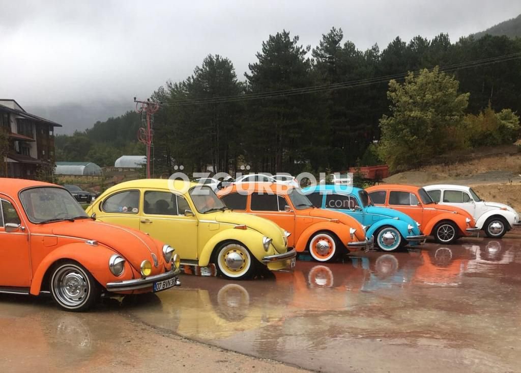 VOSVOS SEVDALILARI NARVEN'DE BULUŞTU