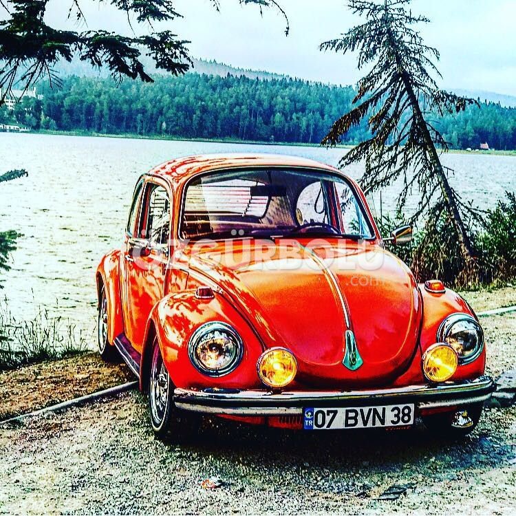 VOSVOS SEVDALILARI NARVEN'DE BULUŞTU