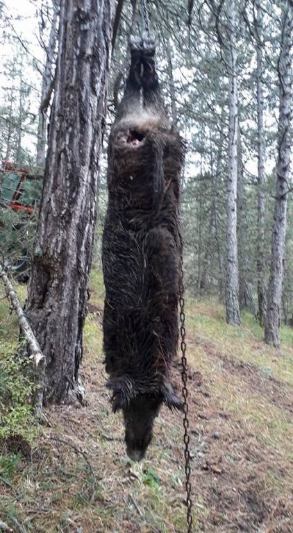 VURDUKLARI DOMUZLA POZ VERDİLER