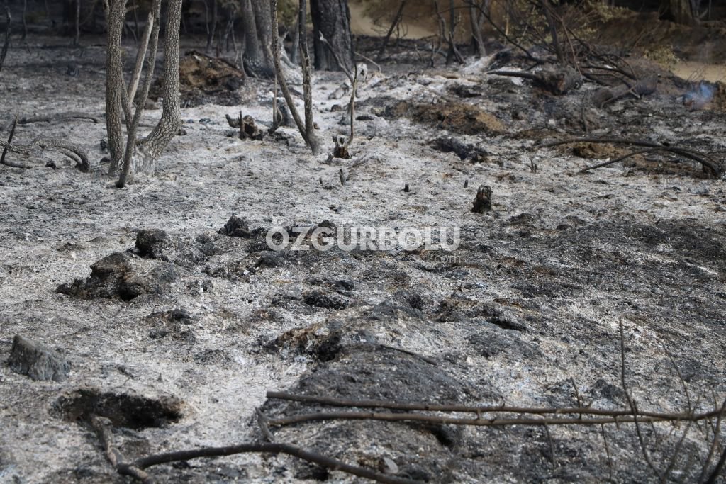 YANGINDA DEV BİR EKİP ÇALIŞTI