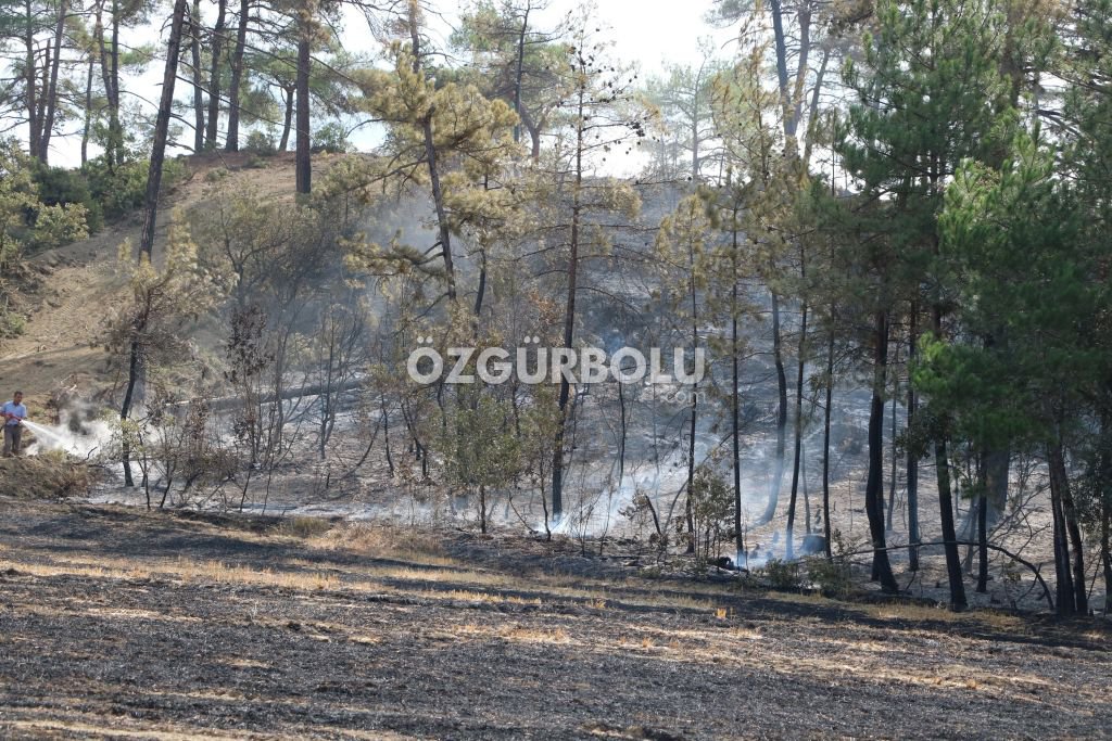 YANGINDA DEV BİR EKİP ÇALIŞTI