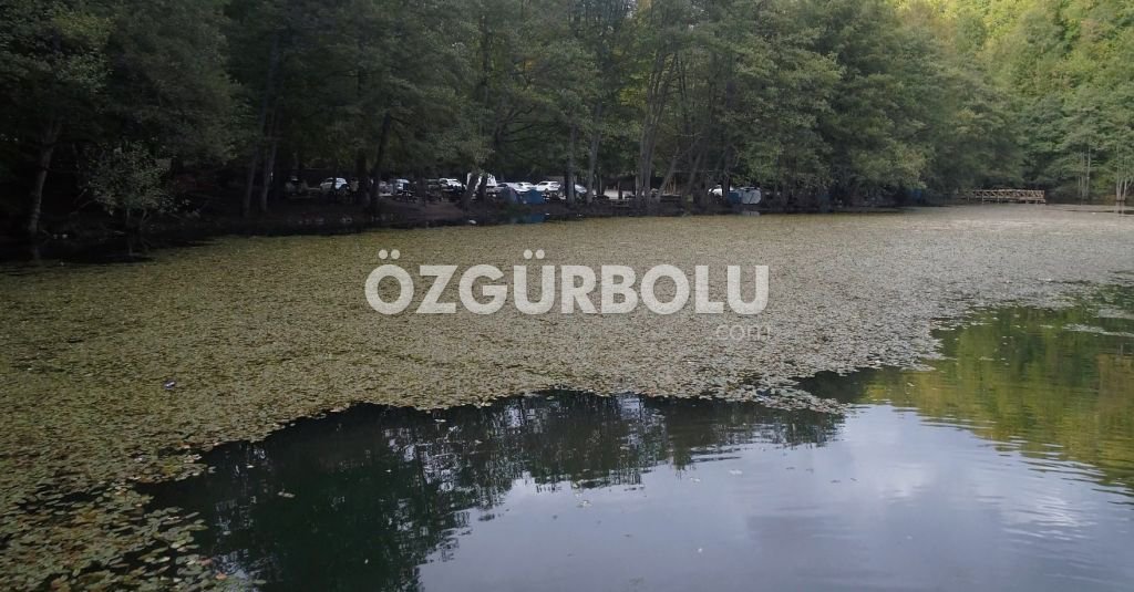 BOLU'NUN CENNET MEKANI 4 MEVSİM BÜYÜLÜYOR