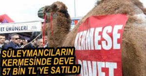 DEVE AÇIK ARTTIRMAYLA 57 BİN TL'YE SATILDI