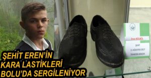 EREN'İN KARA LASTİKLERİ SERGİDE