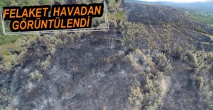 FELAKET HAVADAN GÖRÜNTÜLENDİ