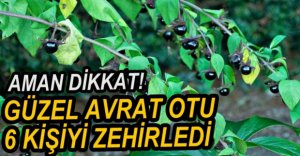 GÜZEL AVRAT OTU 6 KİŞİYİ ZEHİRLEDİ