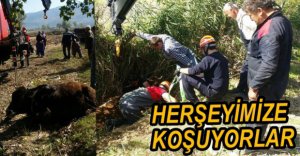 HENDEĞE DÜŞEN İNEĞİ İTFAİYE KURTARDI