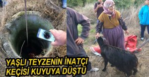 İNATÇI KEÇİ 5 METRELİK KUYUYA DÜŞTÜ