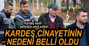 KARDEŞİNİ ÖLDÜREN ŞAHIS ADLİYEYE SEVK EDİLDİ