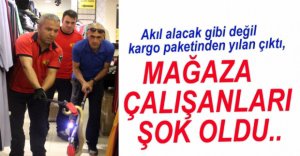 ELBİSE KOLİSİNDEN YILAN ÇIKTI