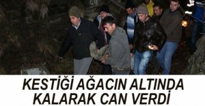 KESTİĞİ AĞACIN ALTINDA KALARAK CAN VERDİ