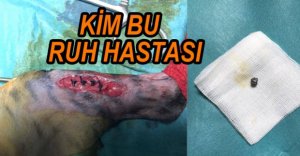 KİM BU RUH HASTASI....