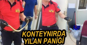 KONTEYNIRDA YILAN PANİĞİ...