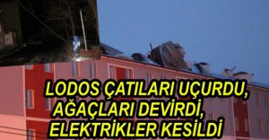 LODOS AĞAÇLARI DEVİRDİ