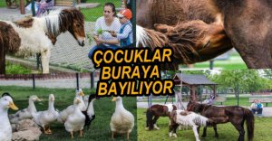 MİNİ HAYVANAT BAHÇESİ ÇOCUKLARIN İLGİ ODAĞI