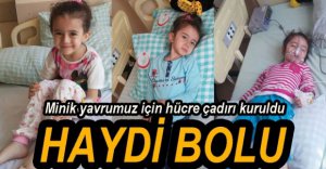 MİNİK GÜLER İÇİN HÜCRE ÇADIRI KURULDU