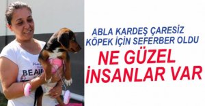 NE GÜZEL İNSANLAR VAR...