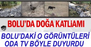 ODA TV DOĞA KATLİAMINI BÖYLE DUYURDU