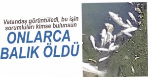 ONLARCA BALIK ÖLDÜ...