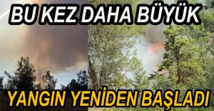 ORMAN YANGINI TEKRAR BAŞLADI