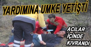 ORMANDA KAYBOLAN YARALIYI UMKE KURTARDI