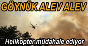 ORMANLIK ALAN ALEV ALEV YANIYOR