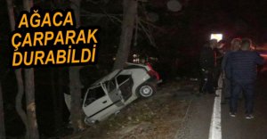 TAKLA ATARAK AĞACA ÇARPTI
