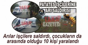 TARLADA ÇALIŞAN İŞÇİLERE ARILAR SALDIRDI