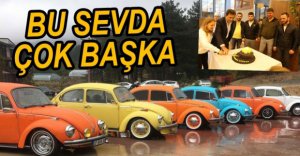 VOSVOS SEVDALILARI NARVEN'DE BULUŞTU