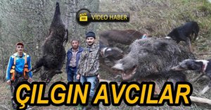 VURDUKLARI DOMUZLA POZ VERDİLER