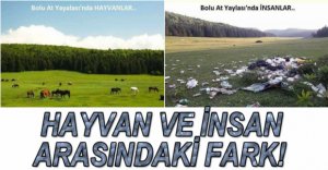 DOĞAYA EN BÜYÜK ZARARI İNSAN VERİYOR
