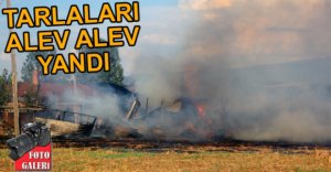 1 DÖNÜM ARAZİ KÜL OLDU