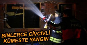 13 BİN CİVCİVLİ KÜMES YANDI