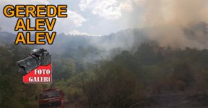 5 DÖNÜM ARAZİ KÜLE DÖNDÜ